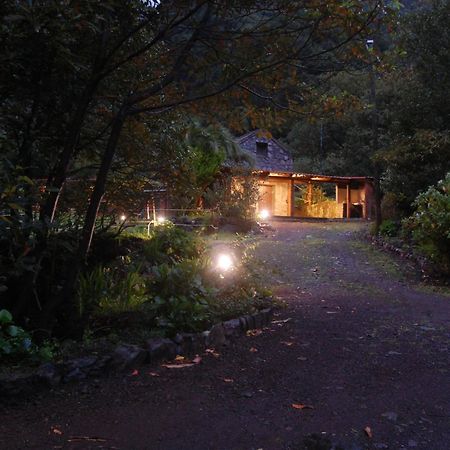 Nature Retreat - Laurel Forest Seixal  Kültér fotó