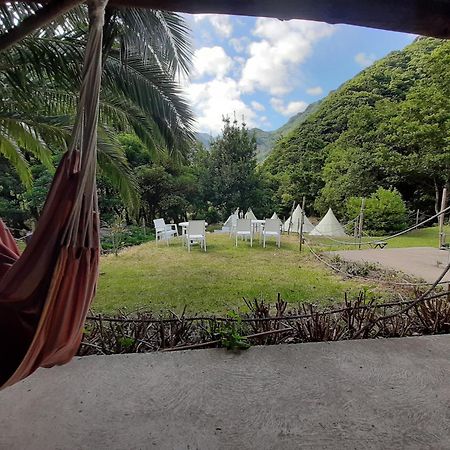Nature Retreat - Laurel Forest Seixal  Kültér fotó