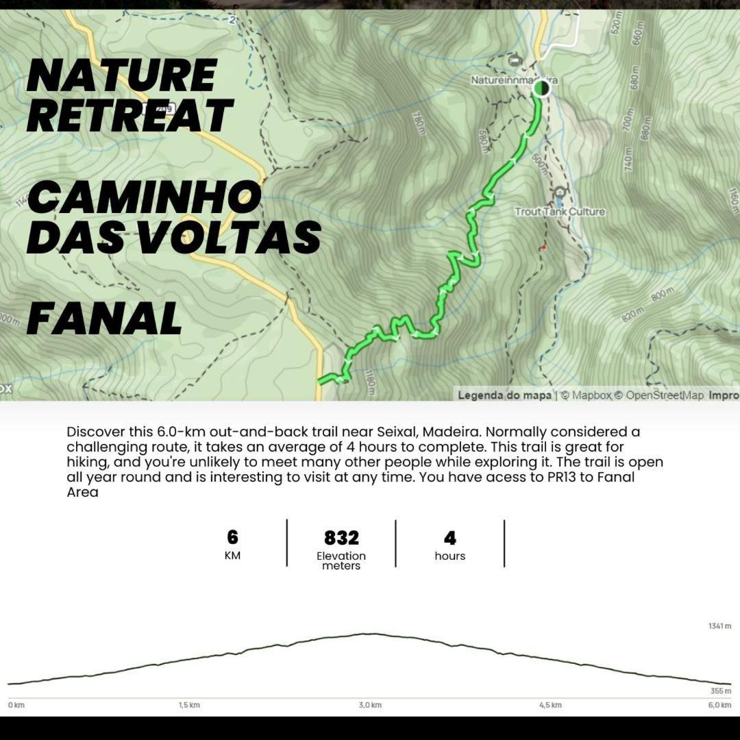 Nature Retreat - Laurel Forest Seixal  Kültér fotó